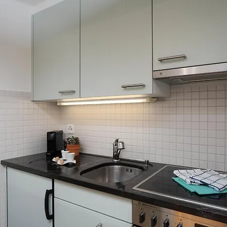Junior Classic - Isole Di Brissago By Interhome Apartment